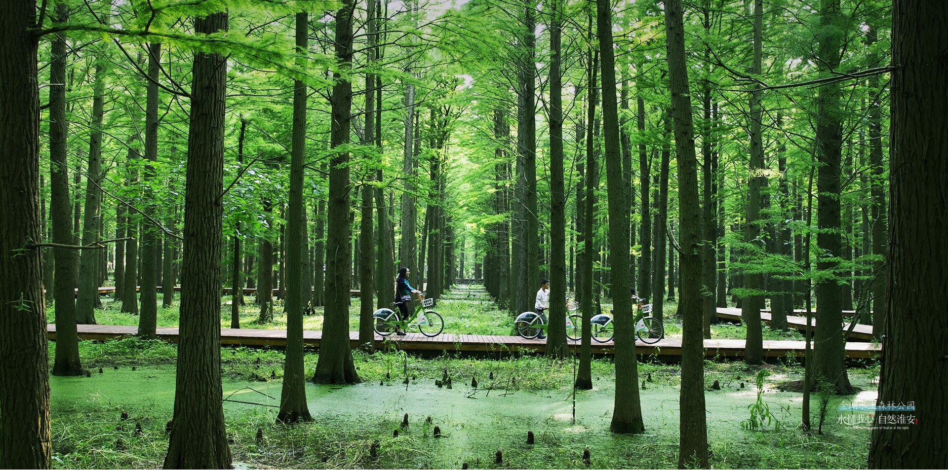 非遺文化